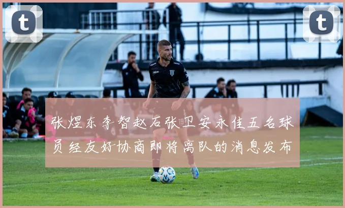 张煜东李智赵石张卫安永佳五名球员经友好协商即将离队的消息发布