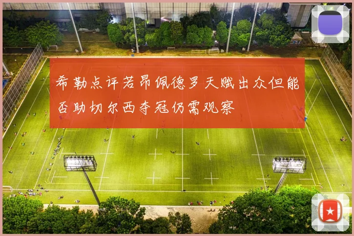 希勒点评若昂佩德罗天赋出众但能否助切尔西夺冠仍需观察